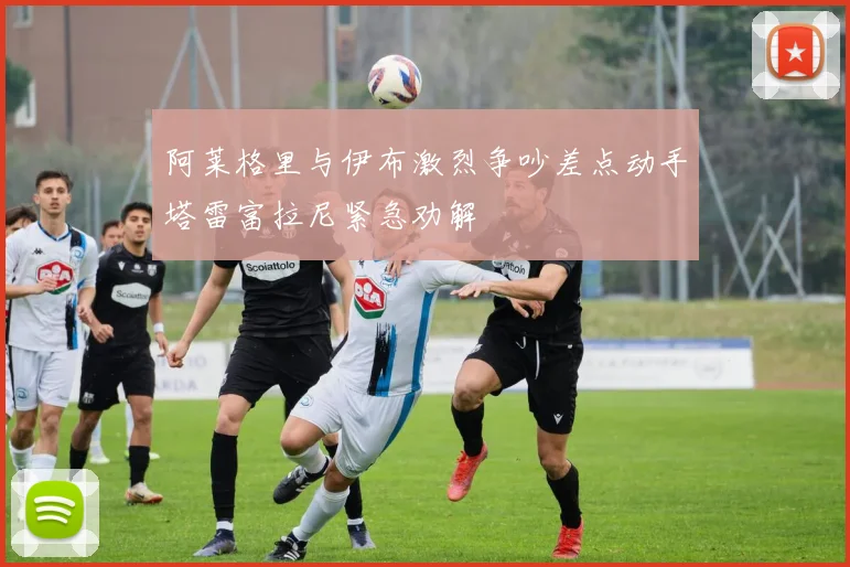 阿莱格里与伊布激烈争吵差点动手塔雷富拉尼紧急劝解